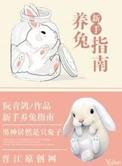 新手如何养兔