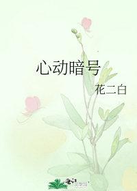 心动暗号花二白讲的什么