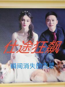 仕途狂飙李秋水唐娜