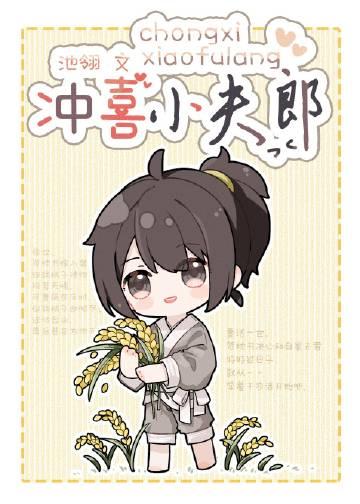 冲喜小夫郎晋江