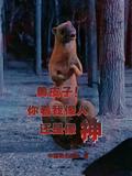 黄皮子说话你看我像人还是像神是什么电影