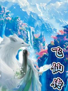 飞仙传奇版本