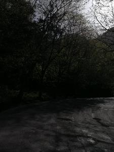 凝望仙路火莲观解读和感悟