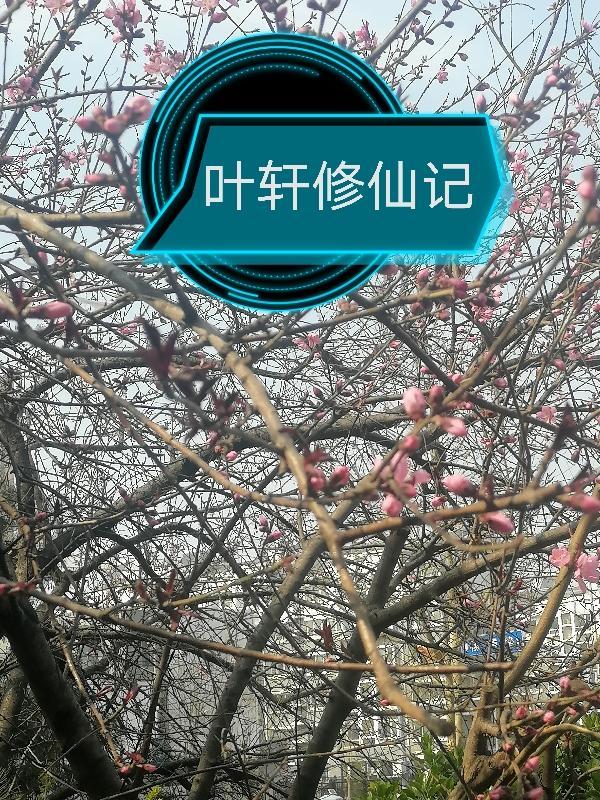 主角是叶轩的玄幻