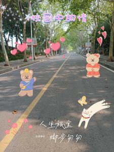 校园里的爱情