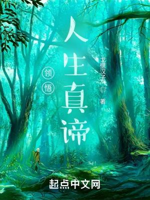 领悟人生真谛把握人生方向问题与思考