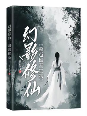 幻影简介
