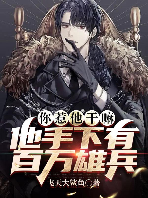 北境狂龙叶轩辕安宁