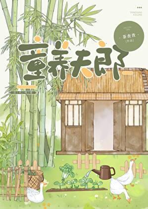 裴家夫郎完结了吗