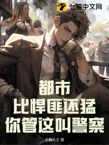 你管这叫警察