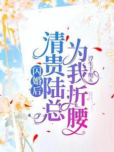 闪婚贵妻最新章节