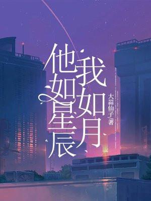 他如星辰闪烁免费阅读半个