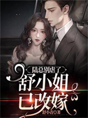 陆总别虐了舒小姐已改嫁免费阅读