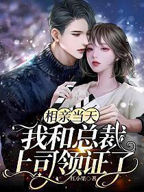 相亲当天我和总裁上司领证了结局是什么