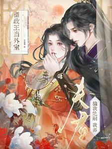 我夫君是摄政王 作者锦殇繁花