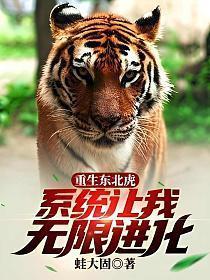 系统让我无限进化TXT