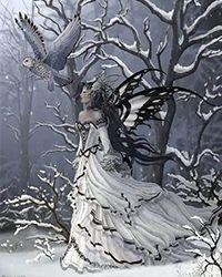 杨晨林雪