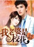 我老婆是校花有多少女人