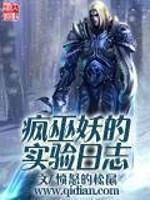疯巫妖的实验日志书评